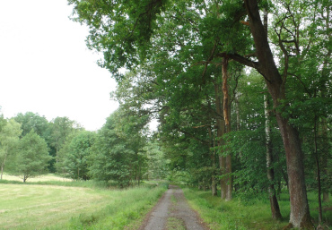 Litovelské pomoravi